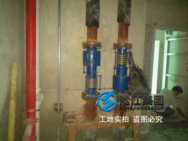 【橫琴總部大廈項目】內(nèi)外壓平衡波紋補償器 【橫琴總部大廈項目】內(nèi)外壓平衡波紋補償器