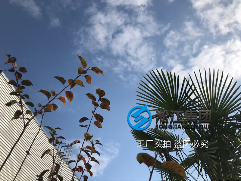 【廠院】淞江集團南通工廠外圍配套設施完善到位