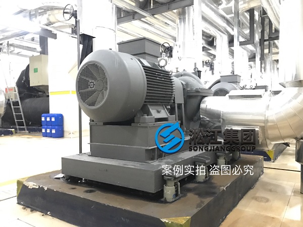 EBARA臥式雙吸蝸殼泵減震器 EBARA臥式雙吸蝸殼泵減震器